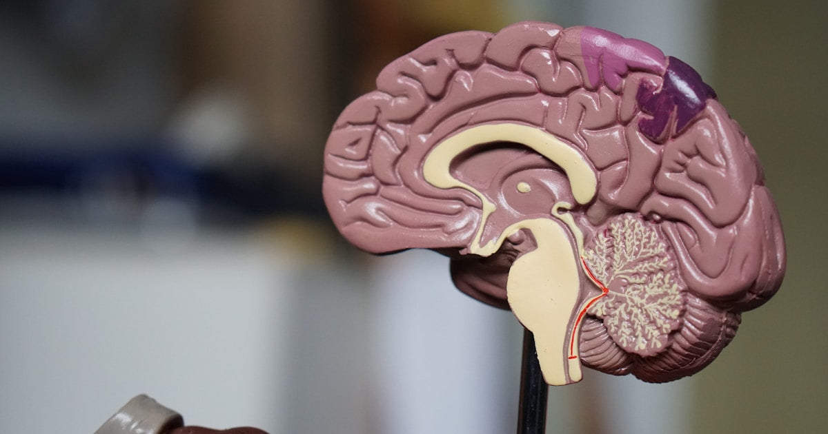 Magnezyum Bisglisinat mı, Sitrat mı? Doğru Formu Seçin