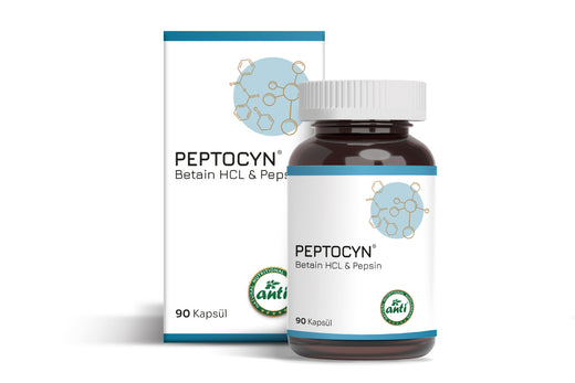 Anti Peptocyn Betain HCL Pepsin 90 Kapsül